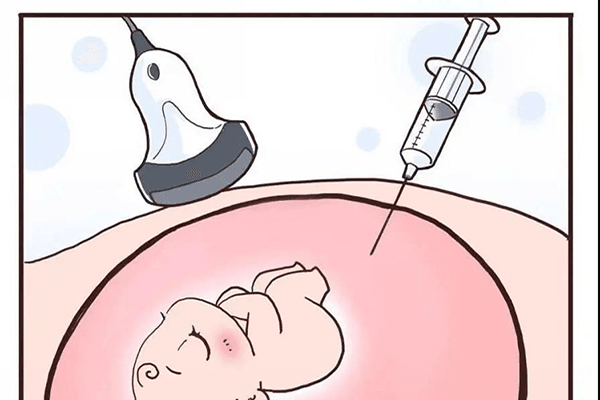 女性结扎后还能恢复生育做试管吗？做试管婴儿需要什么条件才可以做？做试管婴儿一共有几个过程插图(2)