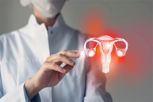 女性结扎后还能恢复生育做试管吗？做试管婴儿需要什么条件才可以做？做试管婴儿一共有几个过程插图(1)