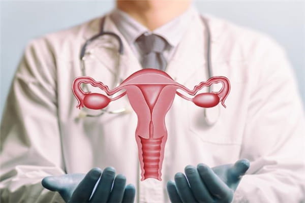 试管婴儿取卵属于几级疼痛？试管婴儿取卵非常疼吗？试管婴儿取卵的步骤有哪些？插图(1)
