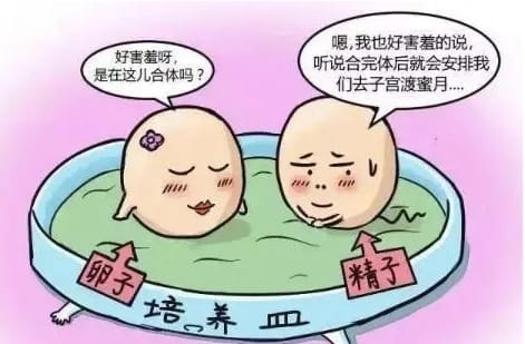 哪些不孕症适合做试管婴儿 ？快来看看做试管这八项指征你中招了吗？插图