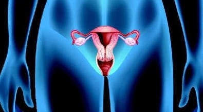 什么是卵巢囊肿？卵巢囊肿会出现哪些症状？卵巢囊肿患者可以进行试管婴儿技术插图(1)