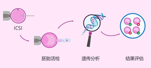 胎停、流产……为什么总是找上你？插图(4)
