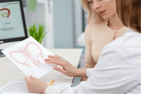 试管婴儿周期：揭秘子宫内膜的“黄金标准”与完整流程插图