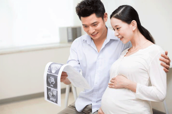 试管婴儿胚胎着床率的决定因素：一场生命奇迹的幕后探索插图(2)